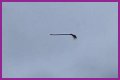 Disturbing video shows floating broom in the middle of the air and the internet is losing its collective mind