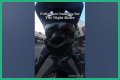 Night Rider Arrested, What Happened To Night Rider?