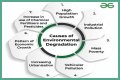 Understanding The Charges, Consequences, And Public Reactions