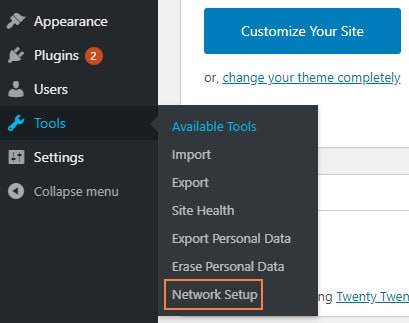 Wordpress multisite hosting by cloudways - network setup